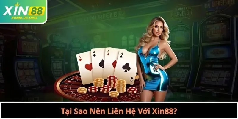 Tại Sao Nên Liên Hệ Với Xin88?